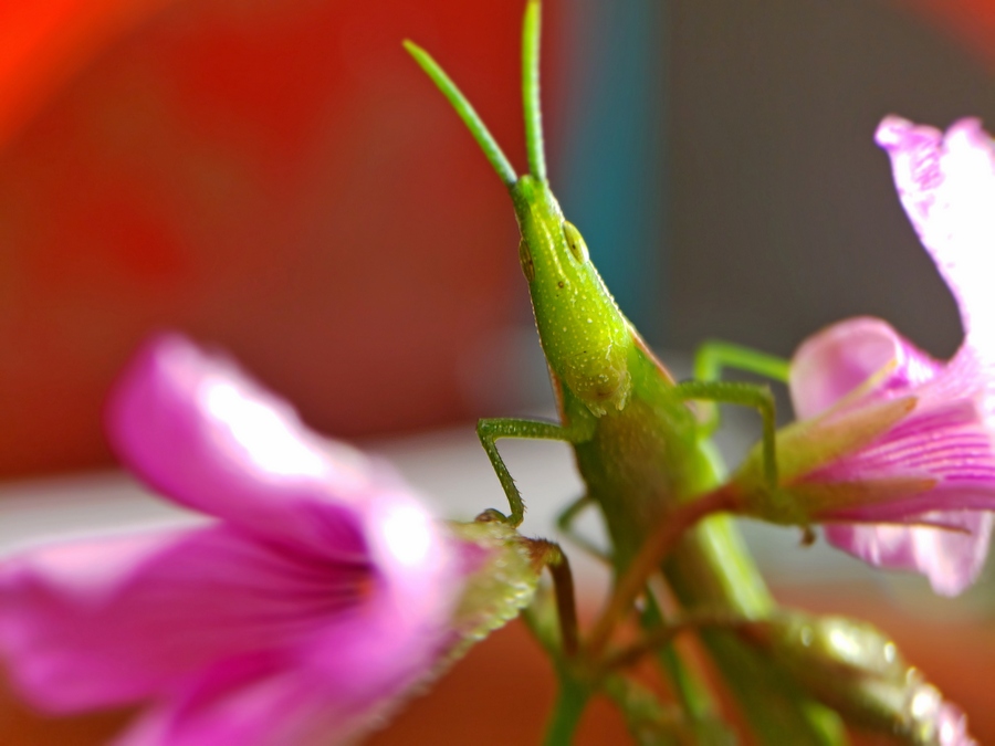 20180914_0743380.jpg