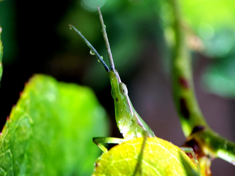 20180921_0703190.jpg