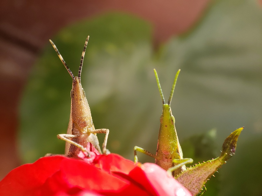 20180925_0734540.jpg