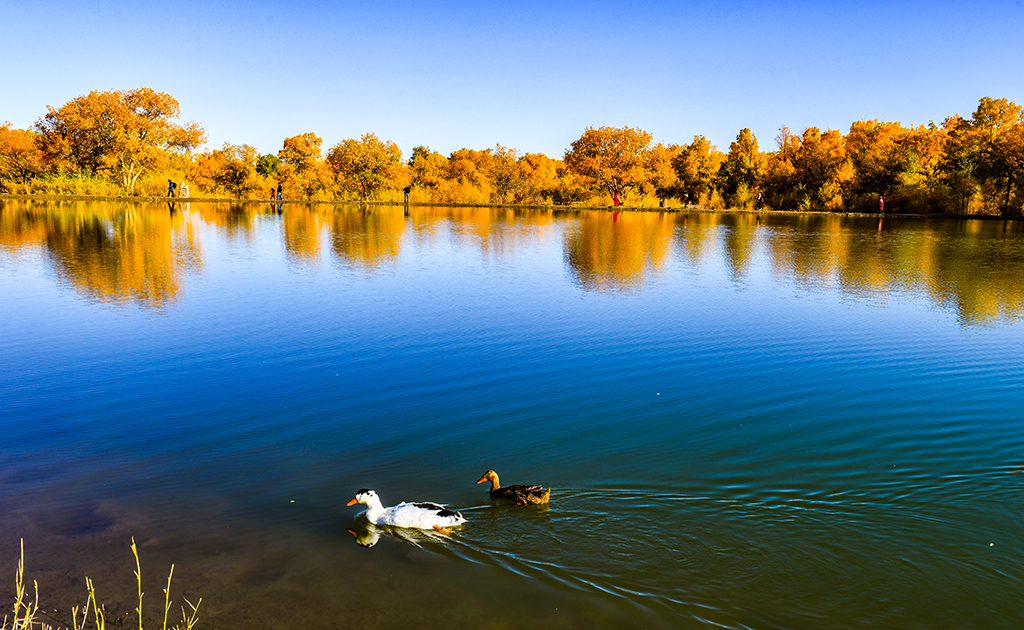 DSC_4762.jpg