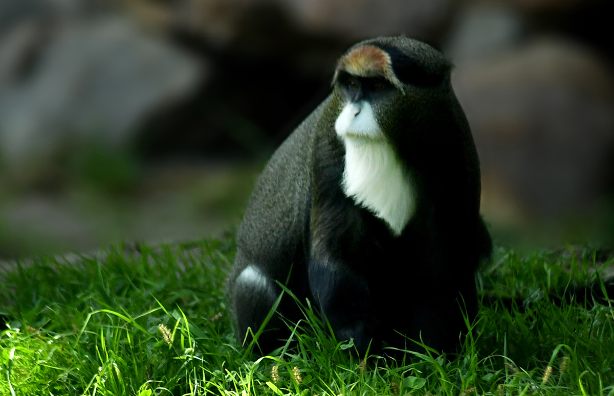 DSC_4254.jpg