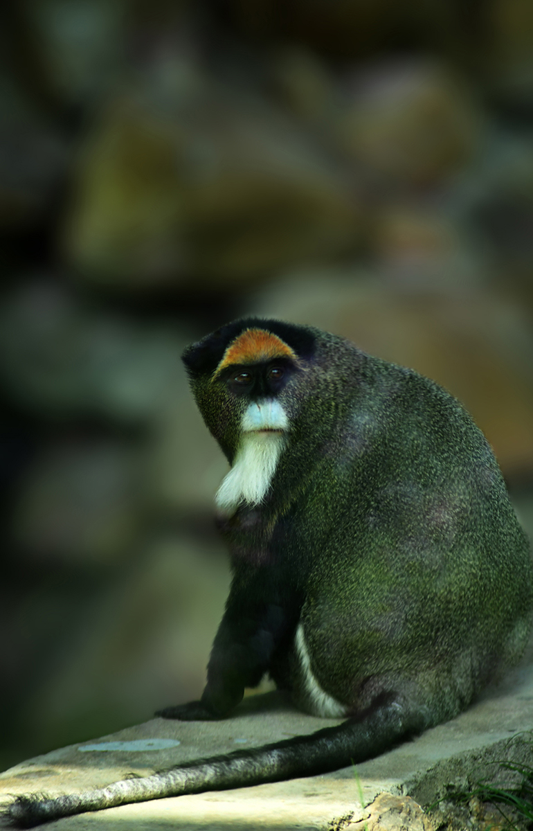 DSC_4264.jpg