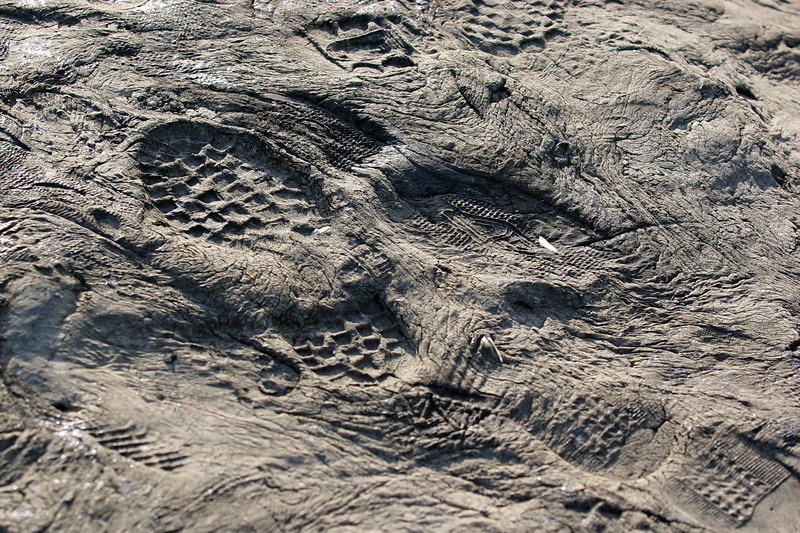 IMG_4977.jpg