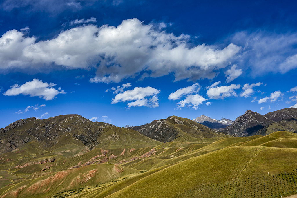 _DSC6818.jpg