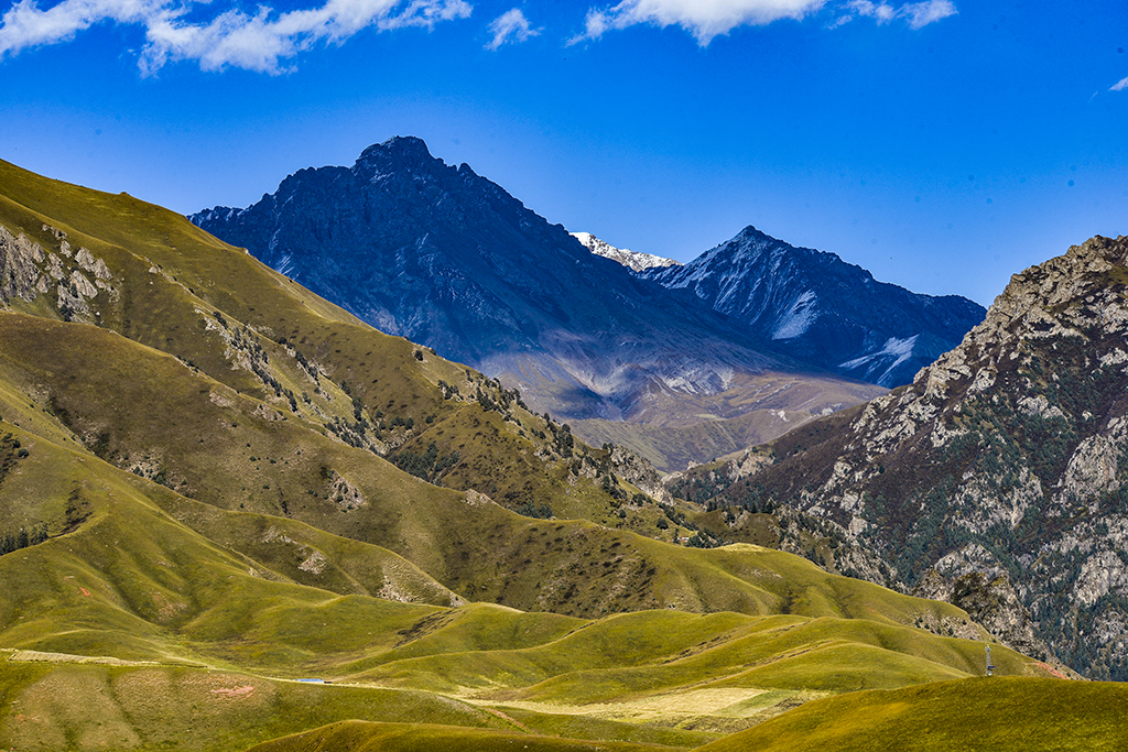 _DSC6865.jpg