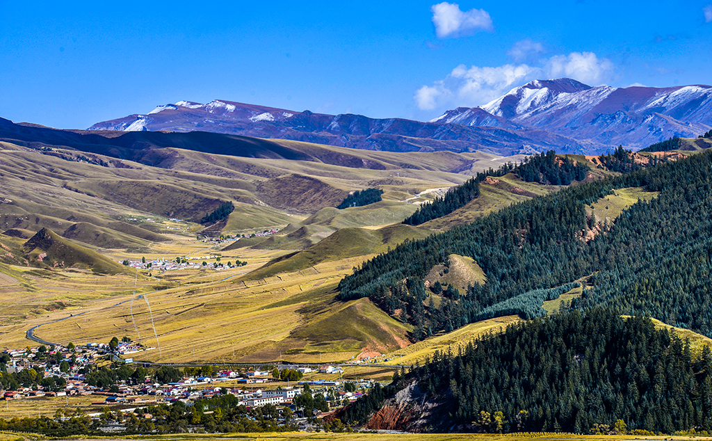 _DSC6883.jpg