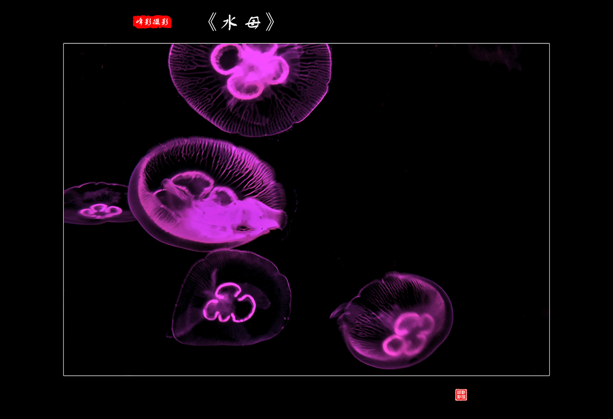 DSCF9651.jpg