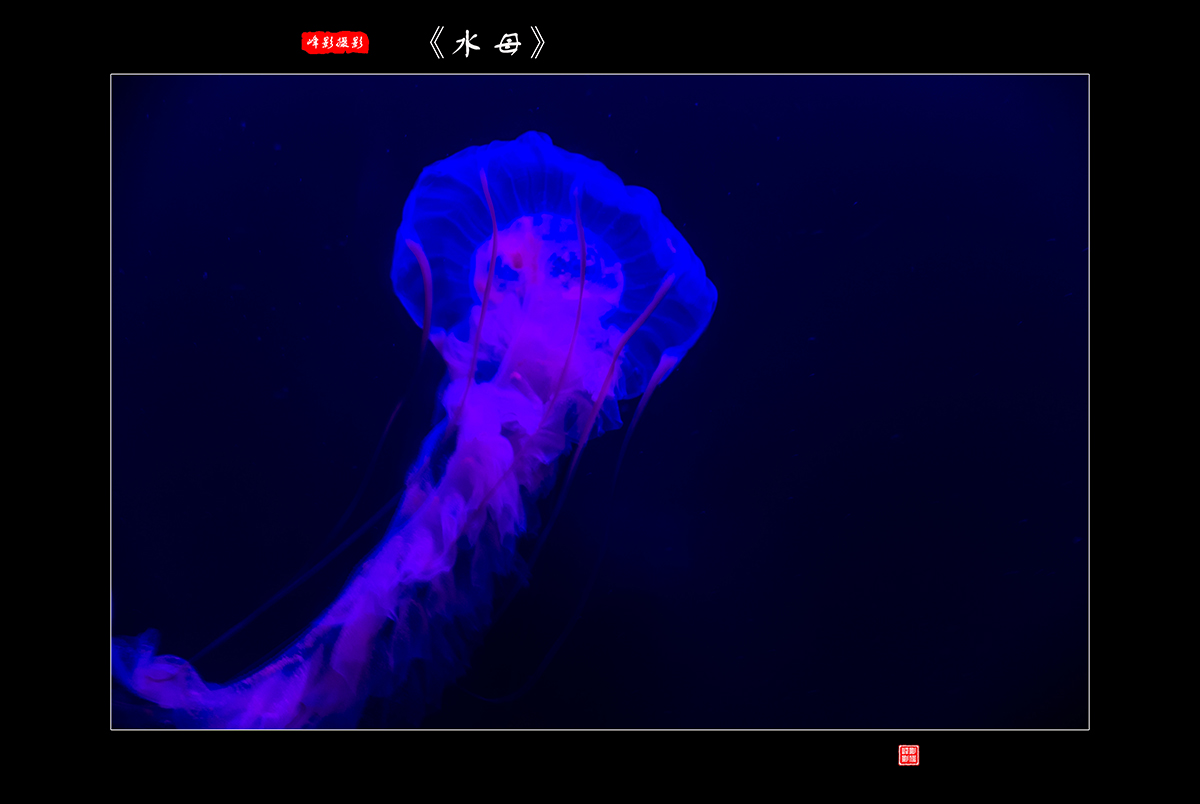 DSCF9654.jpg