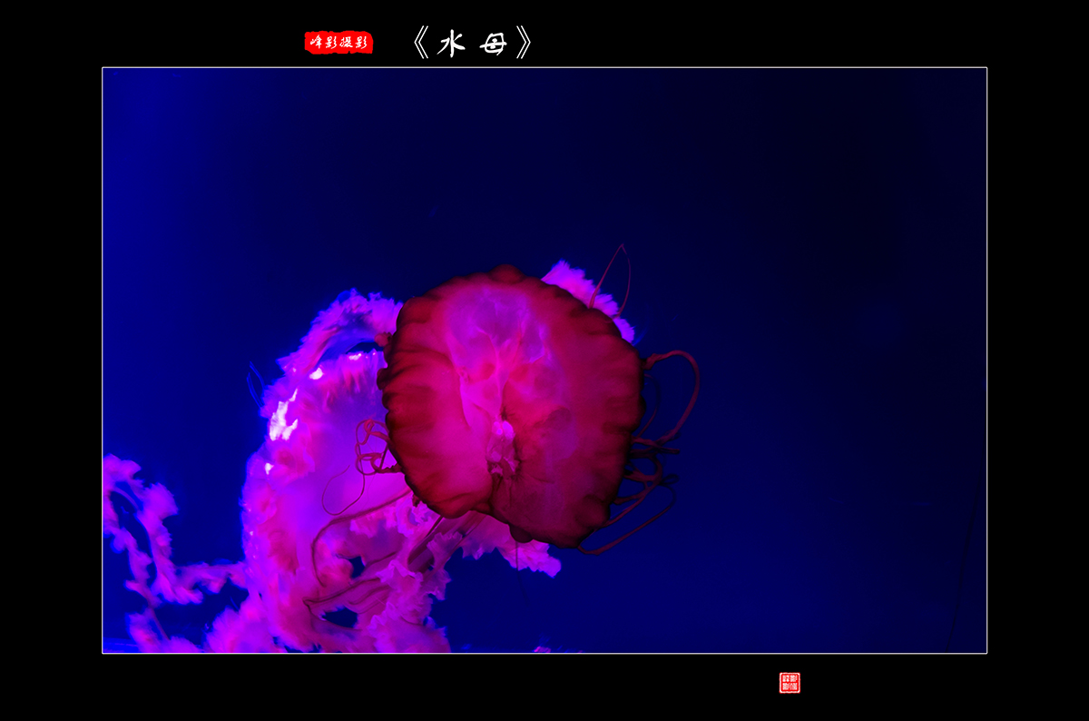 DSCF9667.jpg