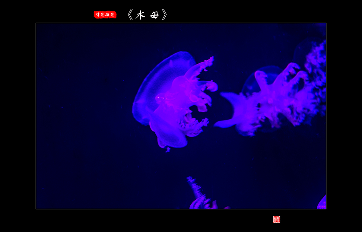 DSCF9675.jpg