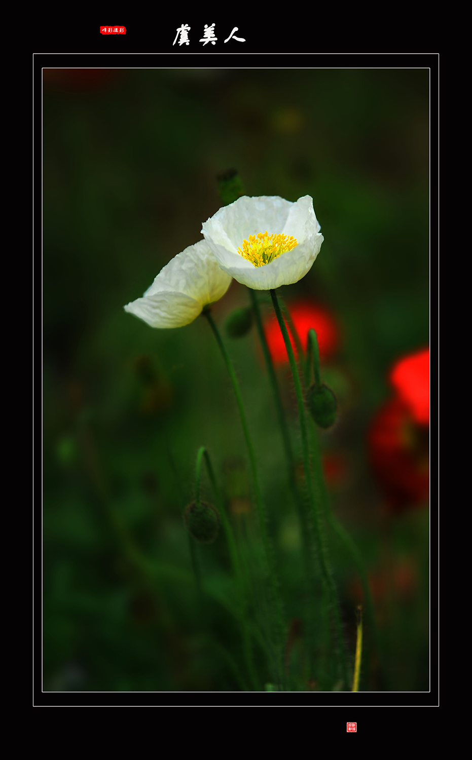 DSC_4691.JPG