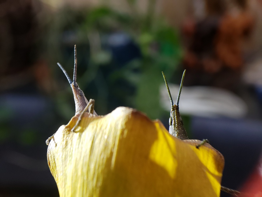 20181030_0739150.jpg