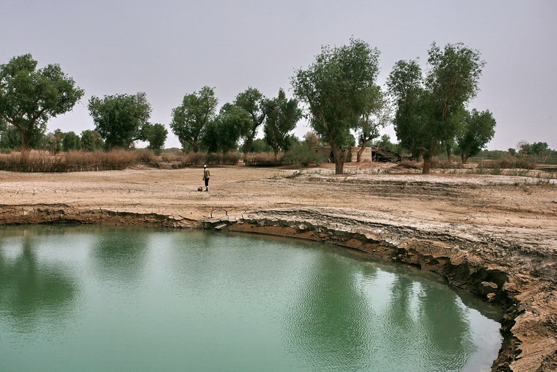 ޲˴կ7.jpg