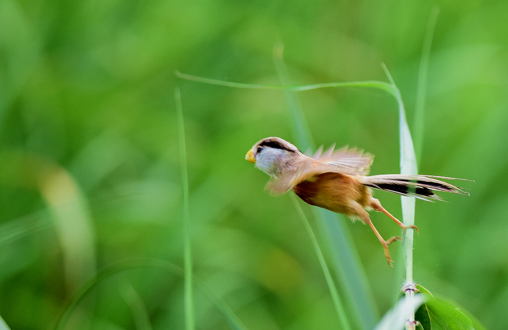 DSC_6889.jpg