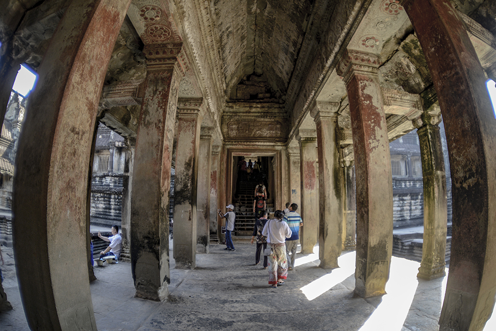 _DSC8864.jpg