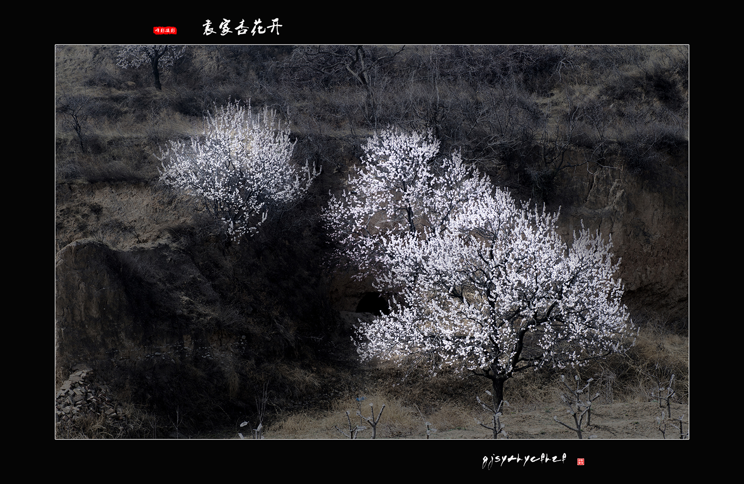 ΢ͼƬ_20190326191804.jpg