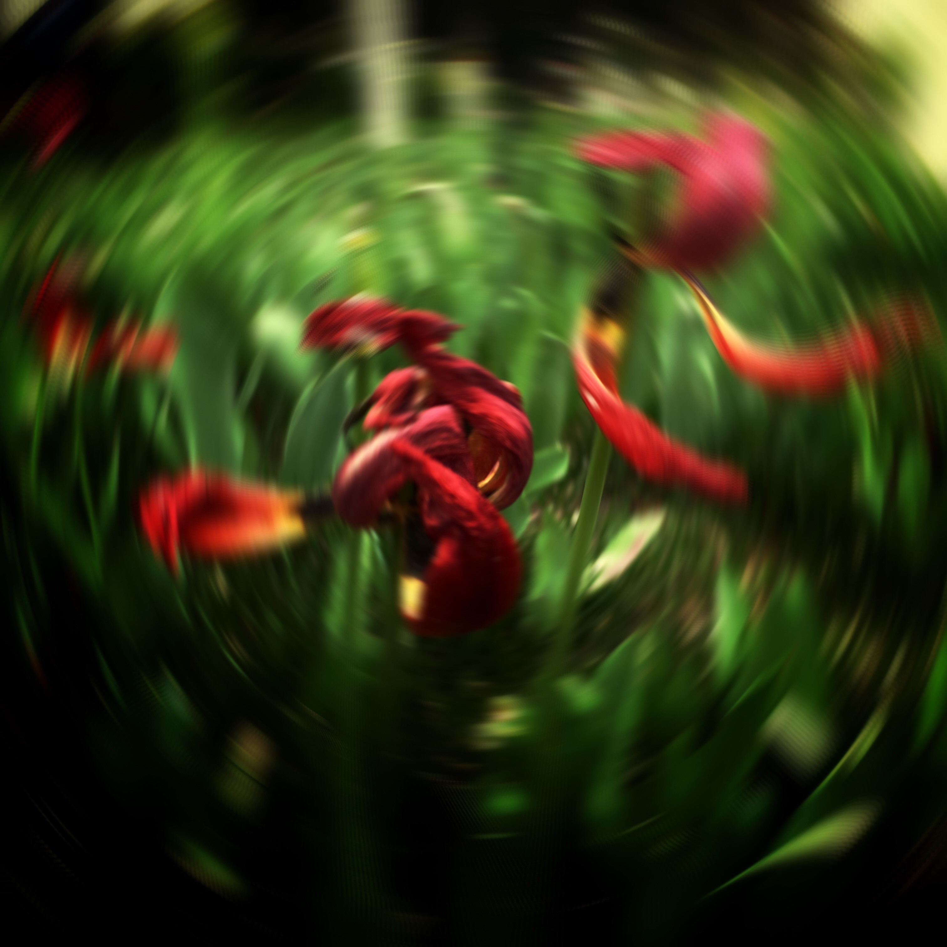 92547926-250D-412F-AAAC-AACEC6B8E739.jpeg