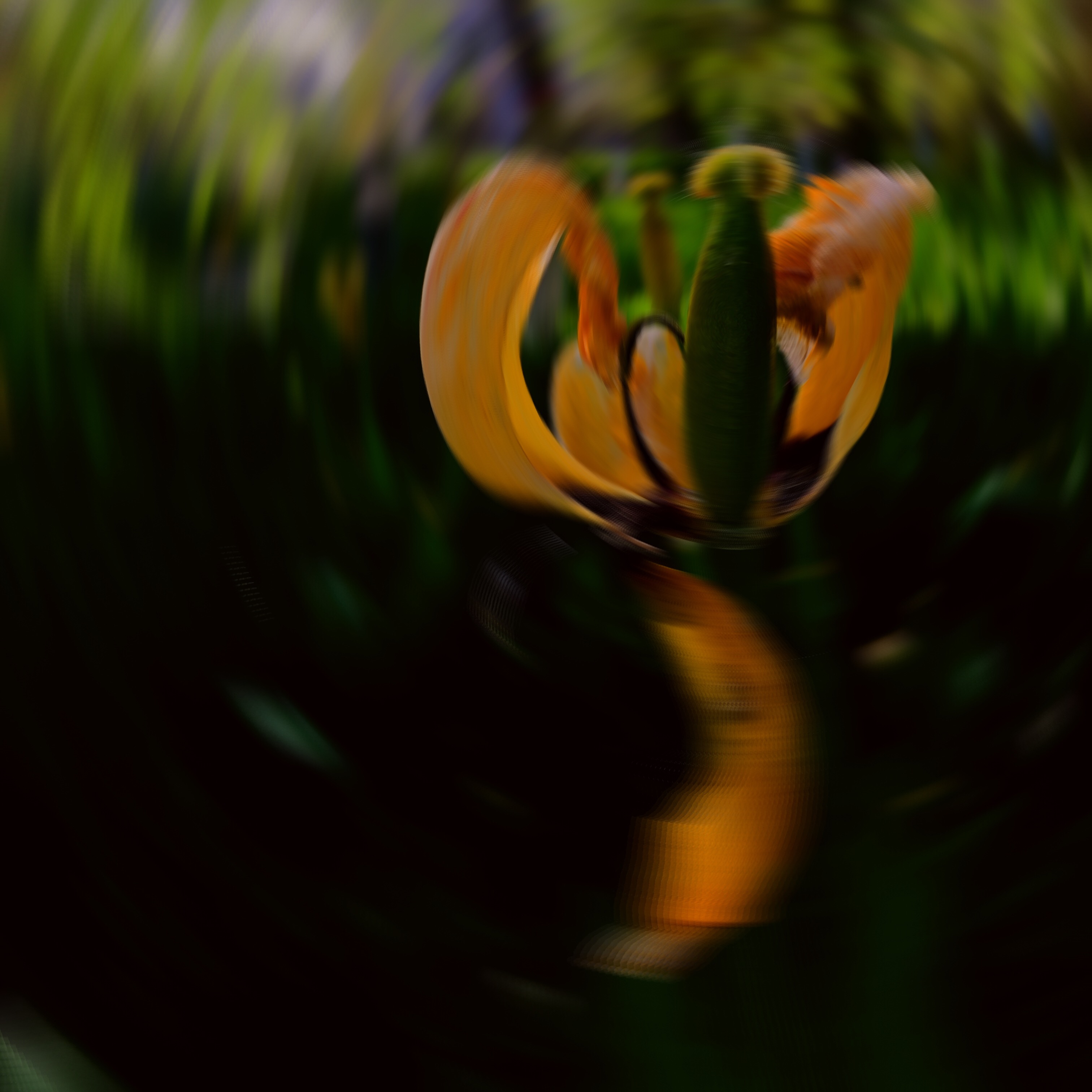 A523956A-2423-4A8E-B09C-EE3FF68F1167.jpeg