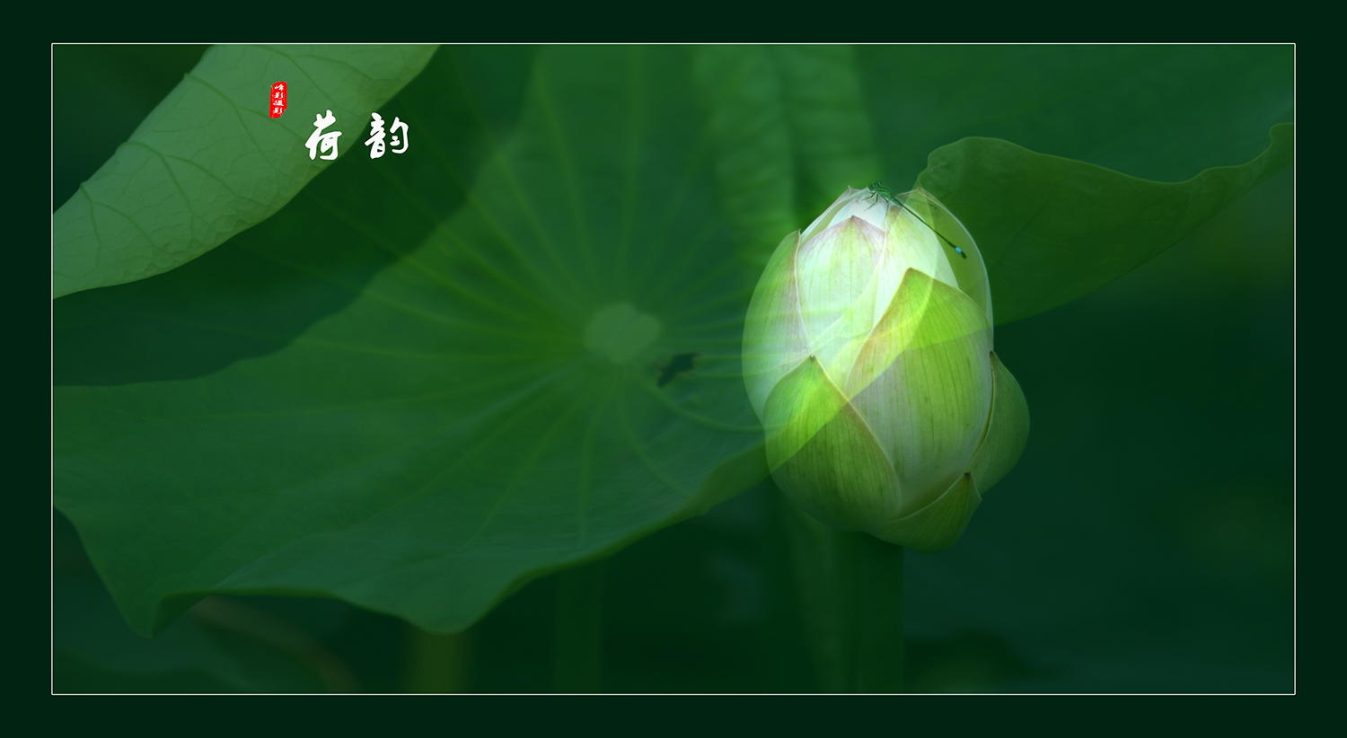 ΢ͼƬ_20190703221523.jpg
