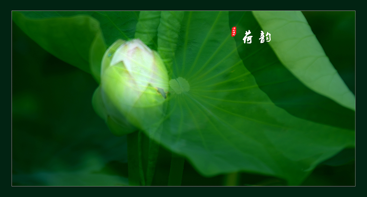 ΢ͼƬ_20190703221531.jpg