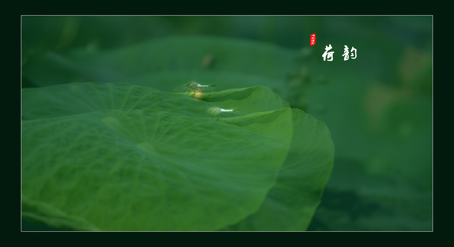 ΢ͼƬ_20190703221546.jpg
