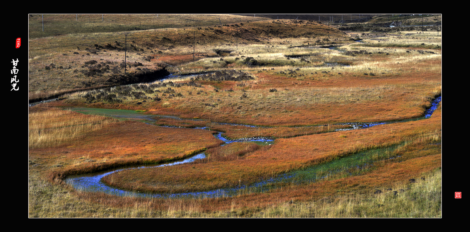 DSC_8924.JPG