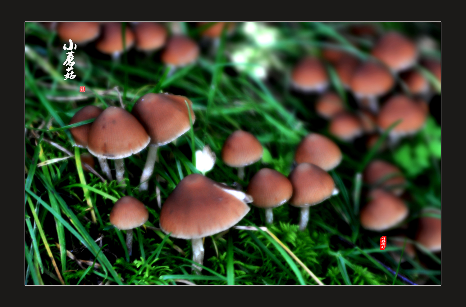 DSC_5834.JPG