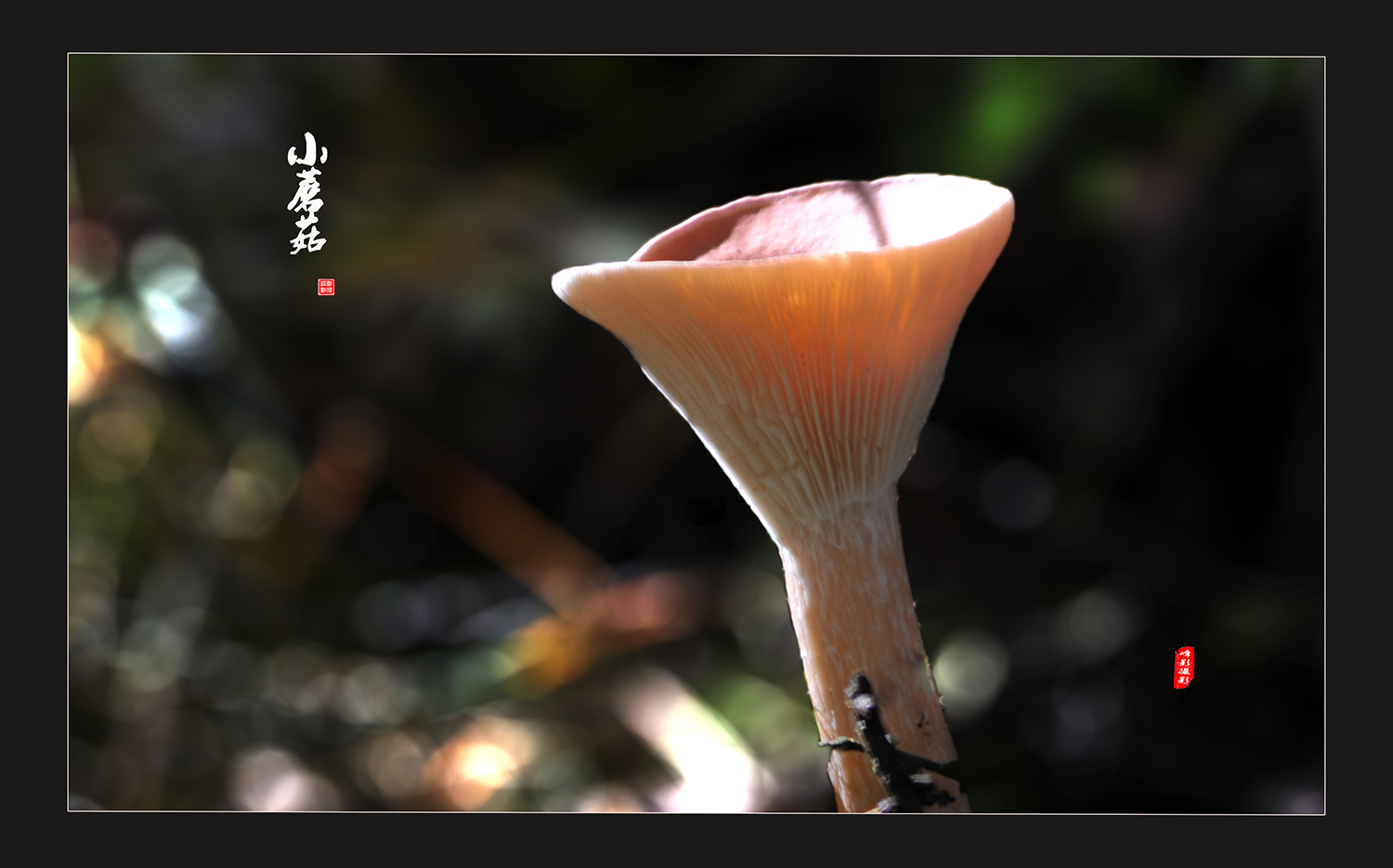 DSC_5840.JPG