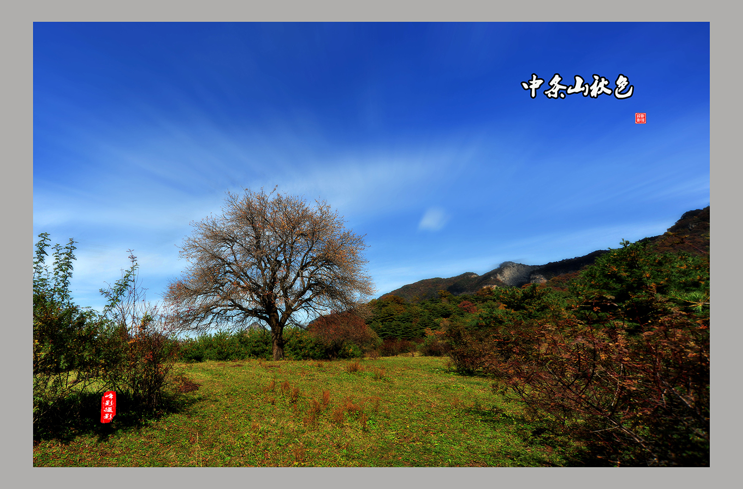DSC_5003.JPG