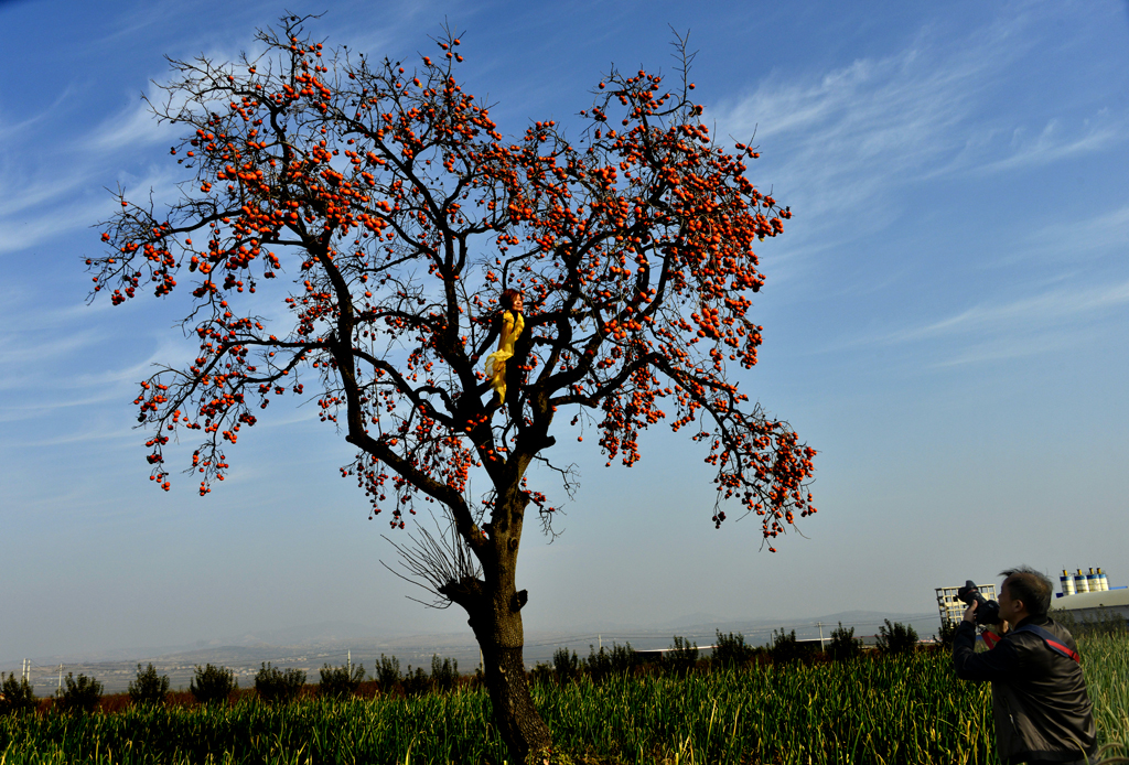 _DSC8650.jpg