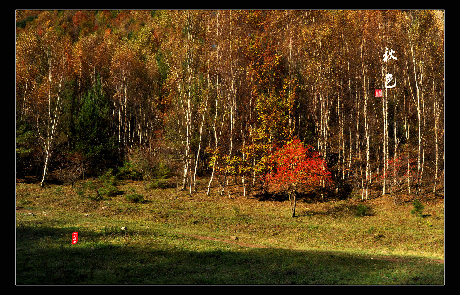 DSC_4800.JPG