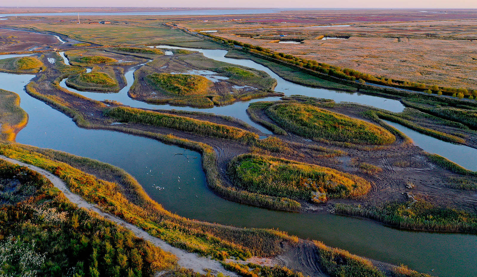 1DJI_0227_.jpg