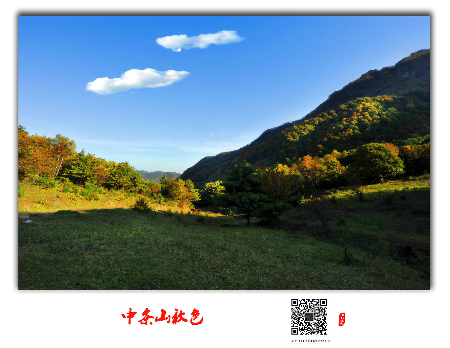 DSC_4779.JPG