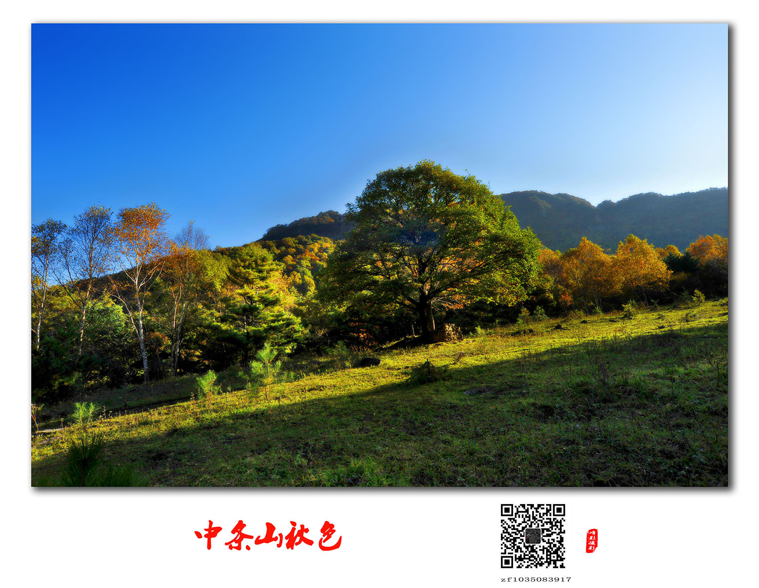 DSC_4808.JPG