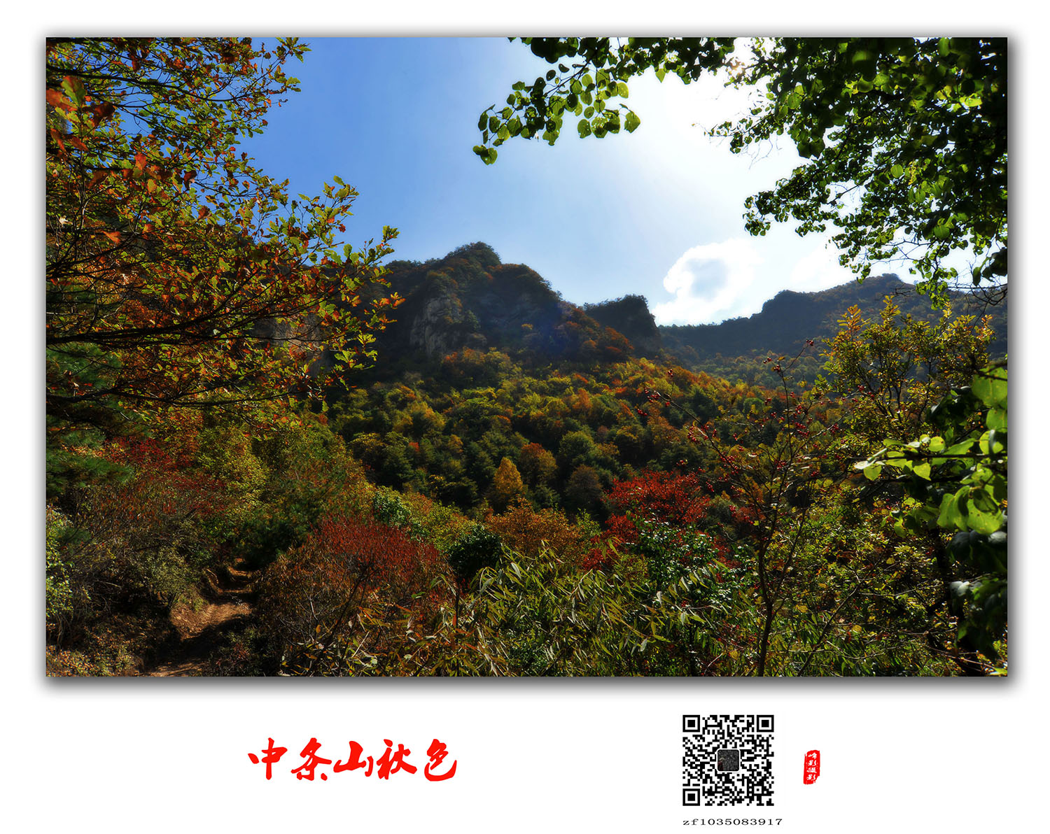 DSC_4910.JPG