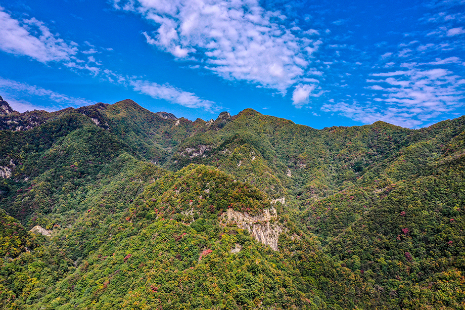 DJI_0392.jpg