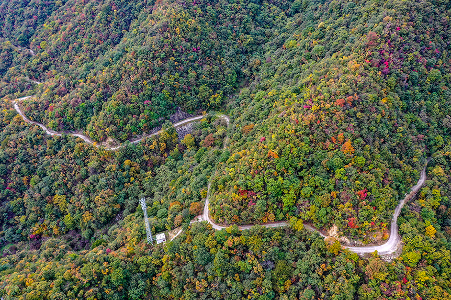 DJI_0403.jpg