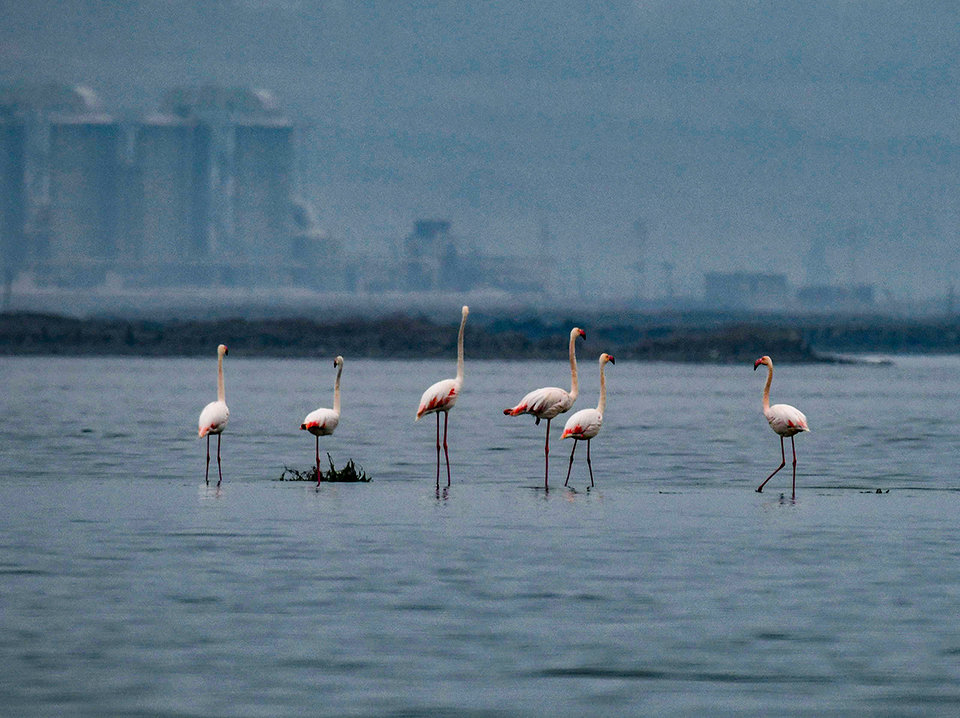 DSC_2995.jpg