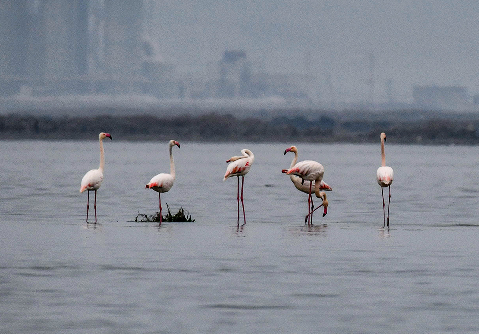 DSC_3008.jpg