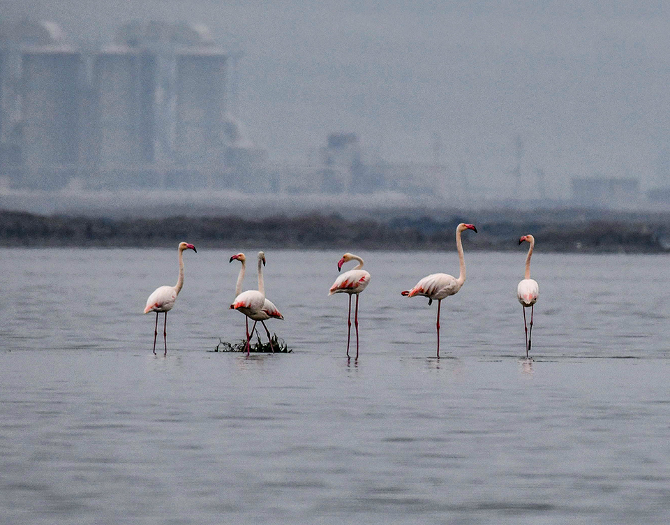 DSC_3011.jpg