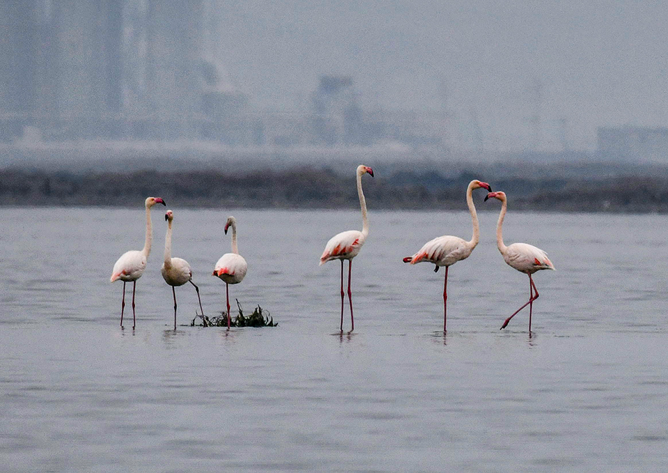 DSC_3012.jpg