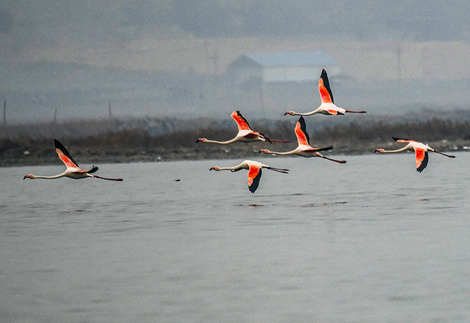 DSC_3060.jpg
