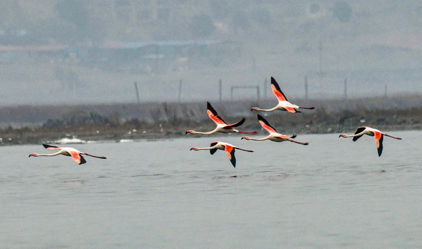 DSC_3063.jpg
