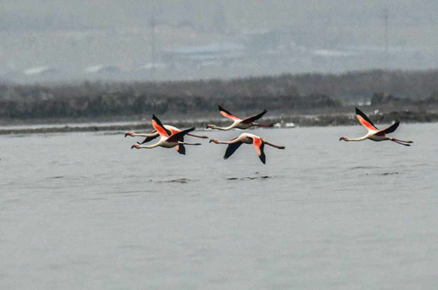 DSC_3069.jpg