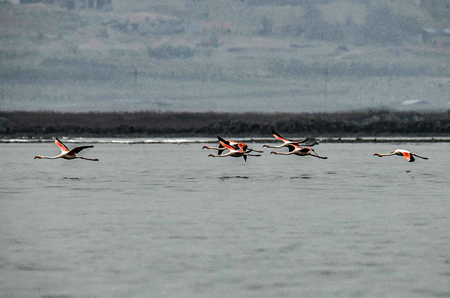 DSC_3072.jpg