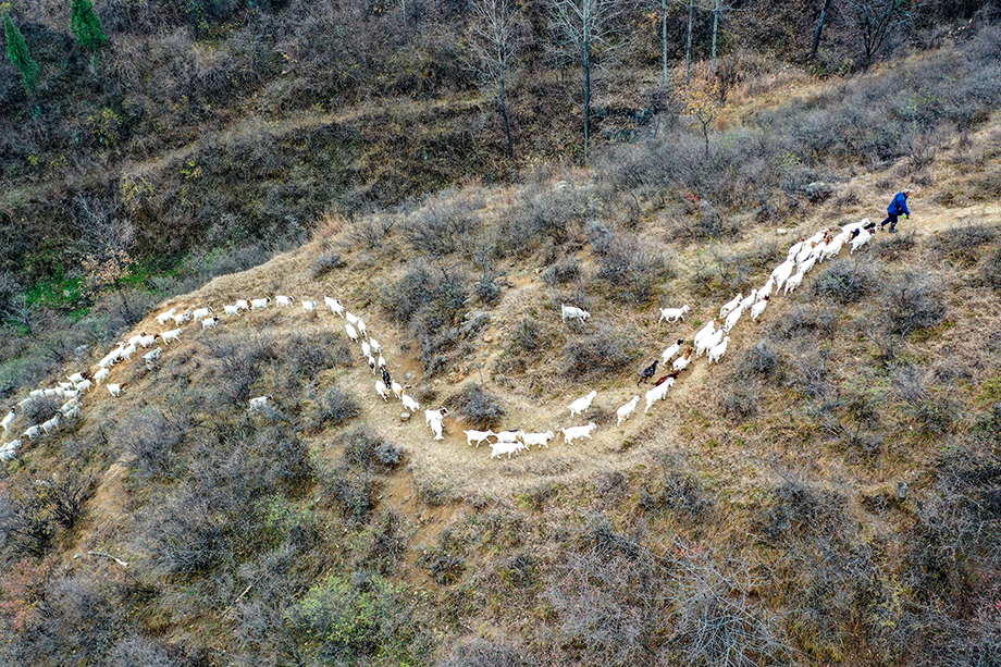 DJI_0314.jpg