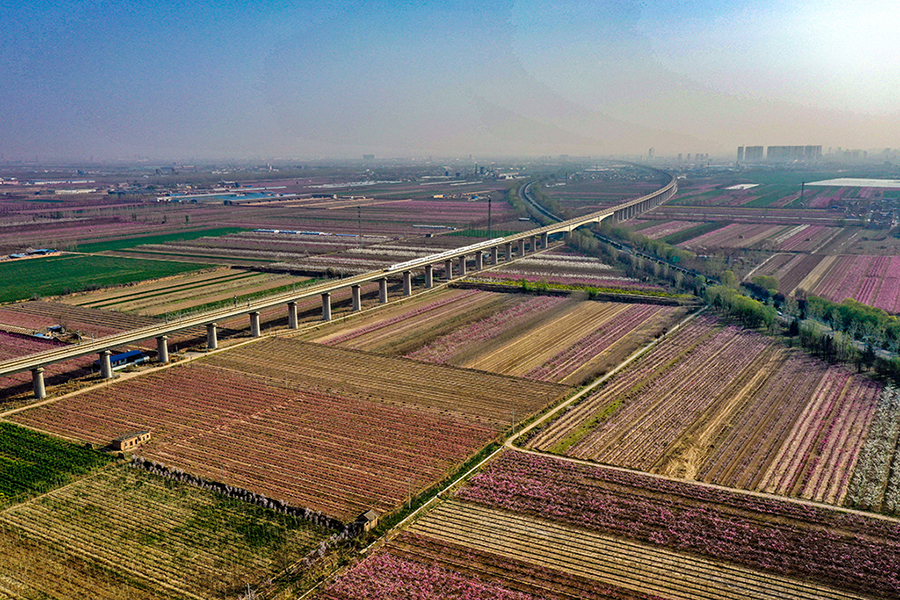 DJI_0293.jpg