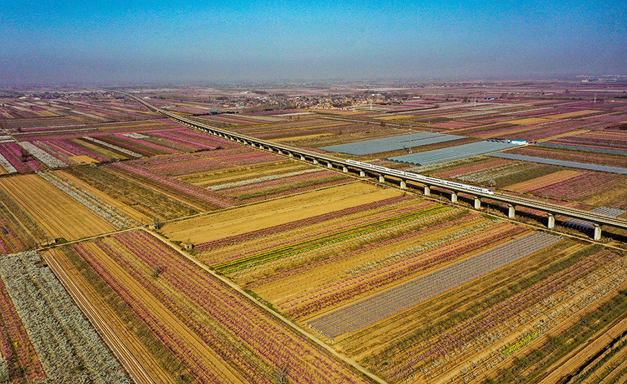DJI_0295.jpg