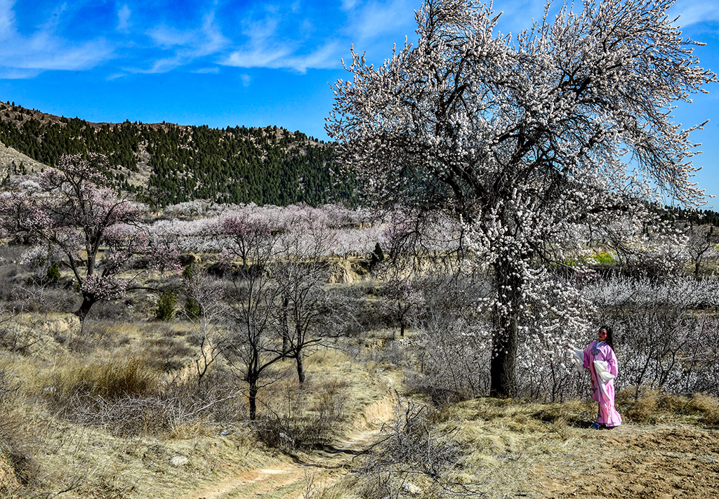 DSC_5656.jpg