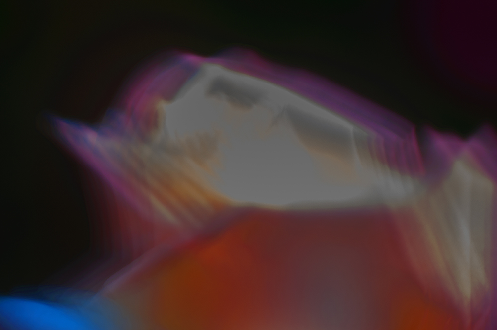 _DSC0014.jpg